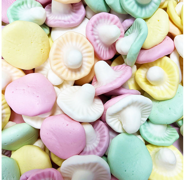Champiñones (100g)