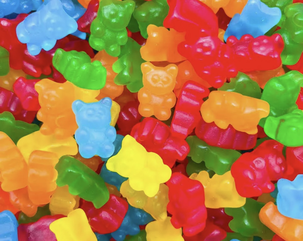 OURSON LISSE 🧸VEGAN🌱 100g