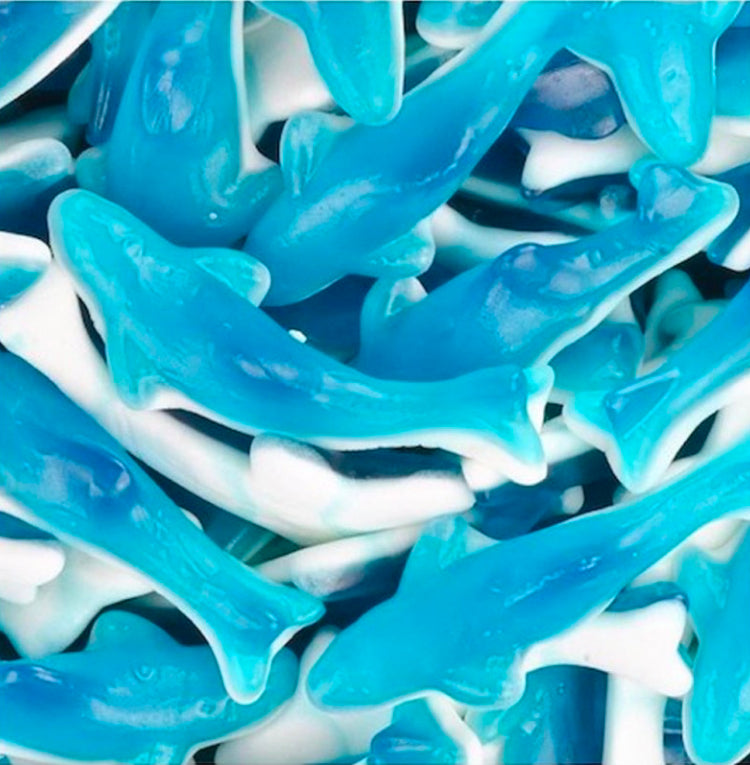 REQUIN BLEU (100g)